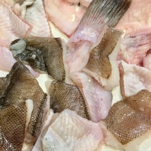 シンプルに美味い ヒラメの唐揚げ レシピ 作り方 By Jiru 楽天レシピ シンプルに美味い ヒラメの唐揚げ レシピ 作り方 By Jiru 楽天レシピ